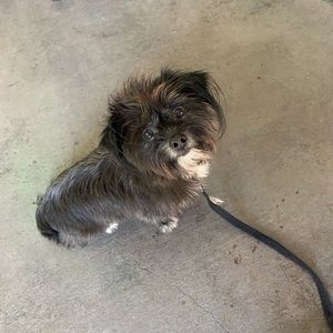 Meet your Posher, Jan